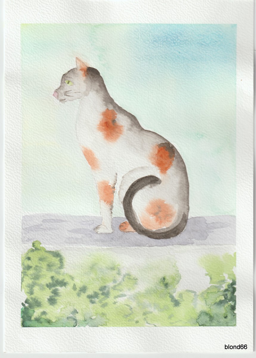 Dessin