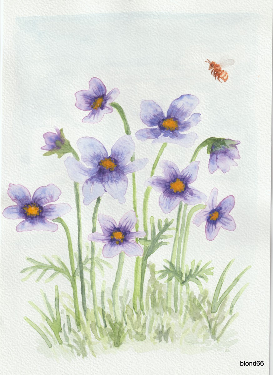 Dessin